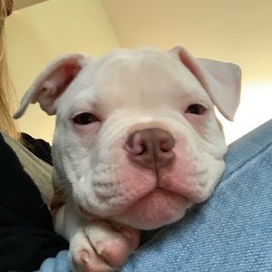 Meet your Posher, Christina